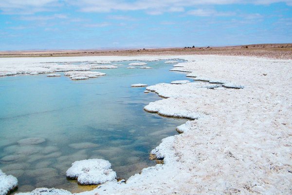 Llamara, el desconocido salar que contiene litio y tierras raras y está en la mira de compañías mineras extranjeras