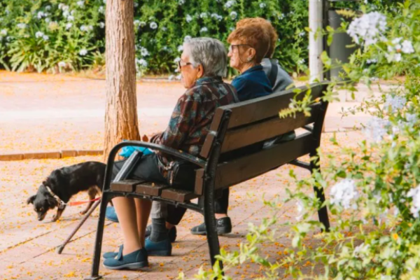 Despolitización: la clave para destrabar los sistemas de pensiones en América Latina, según Hamilton Lane