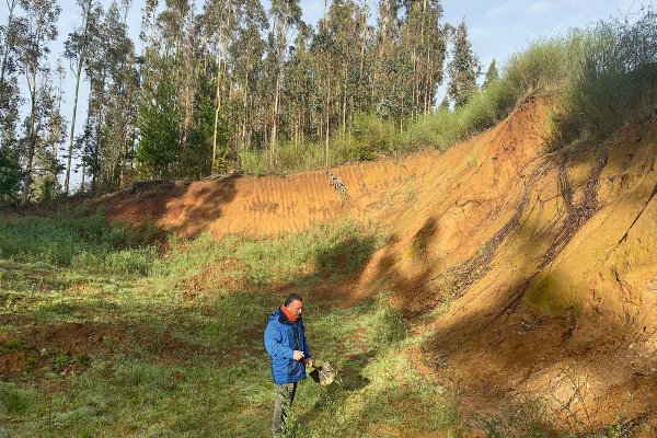 Dueña de proyecto de Tierras Raras en Penco pierde la mitad de su valor por traspié ambiental y explora en Brasil