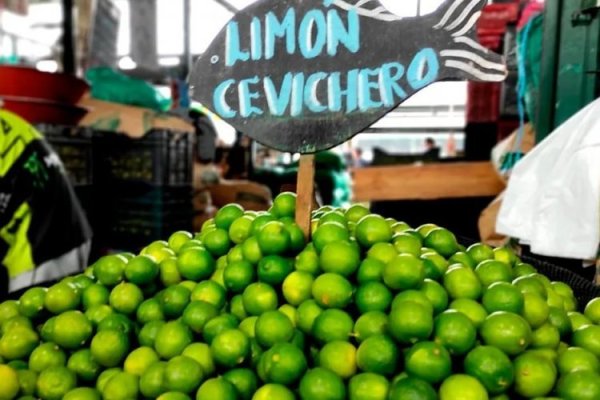 Ceviche y sour, un lujo para los peruanos: precio del limón ha subido más de 200% en el año