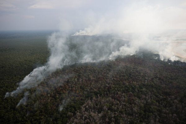 Opinión FT: Escándalo en Brasil revela problemas del mercado de créditos de carbono en la Amazonia