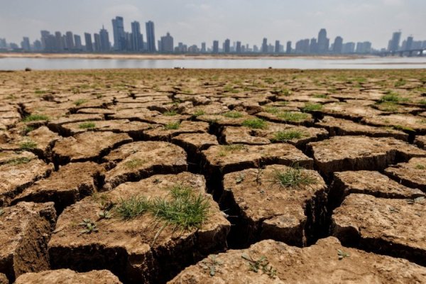 ¿Cómo llega Latinoamérica a la COP28?: los compromisos climáticos de los principales mercados regionales