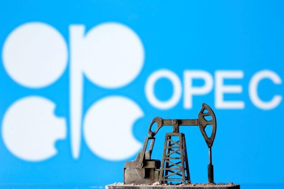 <p>OPEP insta a rechazar acuerdo en COP28 que apunta a combustibles fósiles</p>