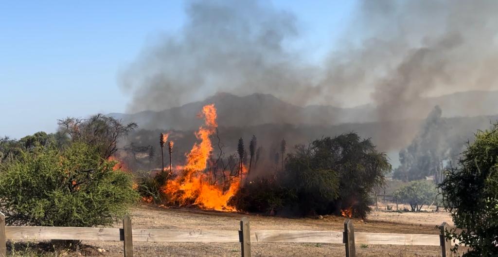 <p>Agencia Uno: Incendio en Limache</p>