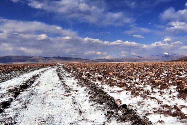 Argentina: Rio Tinto obtiene luz verde para proyecto de litio en la provincia de Salta