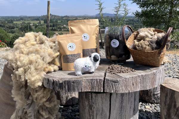 Los pellets que desarrolla Woolchip a partir de lana residual de oveja.