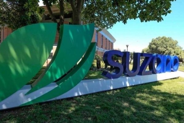 Suzano reconoce tener interés en activos de International Paper, aunque admite que "aún no existe acuerdo"