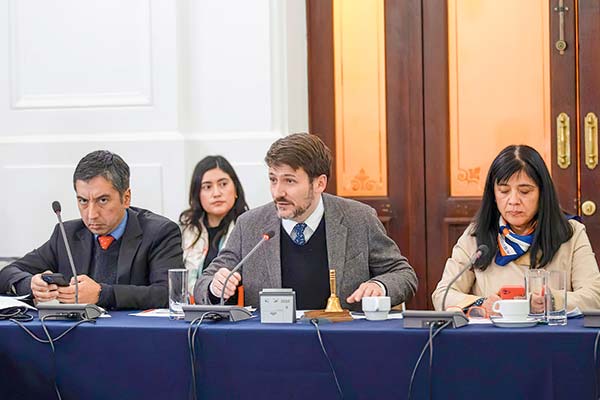 Ministro de Energía, Diego Pardow, en la mesa técnica.