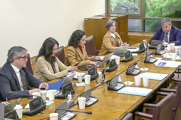 El ministro Marcel y la subsecretaria de la Segpres, Macarena Lobos, asistieron a la comisión de Hacienda del Senado.