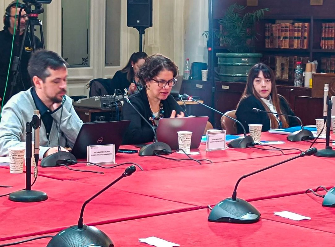 <p>Sebastián Aylwin, jefe de la Oficina de Evaluación Ambiental del Ministerio del Medio Ambiente, y Maisa Rojas, ministra de dicha cartera, en la comisión ayer en el Senado.</p>