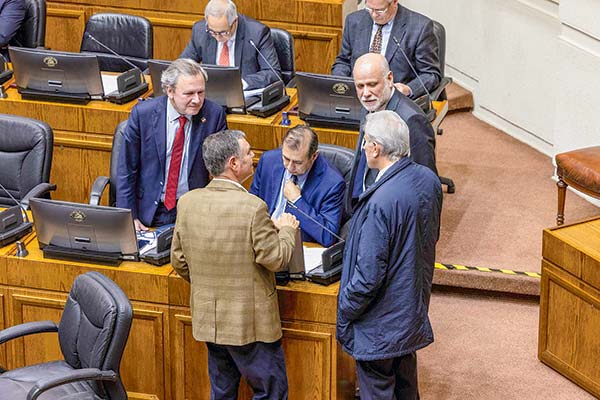 Diferentes miradas hubo ayer en el Senado sobre la próxima etapa del proyecto.