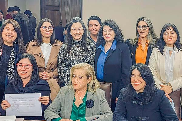 La subsecretaria de Economía, Javiera Petersen, expuso en la comisión de Mujeres y Equidad de Género de la Cámara.