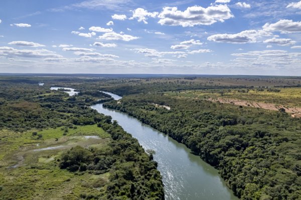 Arauco realiza la mayor inversión de su historia en Brasil: US$ 4.600 millones