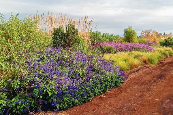 Tres tendencias para lograr un jardín ecológico