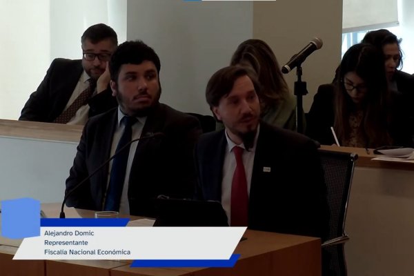 En la audiencia, el abogado y Coordinador de la División Antimonopolios de la FNE, Alejandro Domic