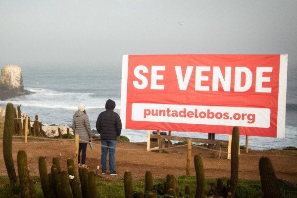 La atrevida campaña de la Corporación Parque Punta de Lobos para atraer nuevos socios