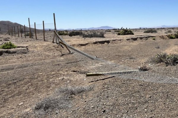 Foto: Superintendencia de Medio Ambiente