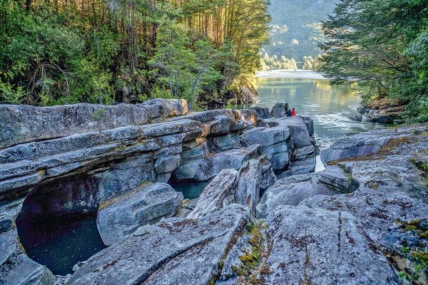 Proyecto Patagonia: CMPC detiene zona productiva en Aysén y la destinará a conservación