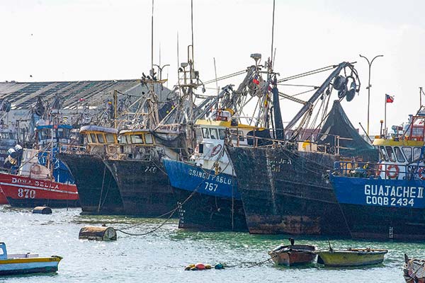 Gremios del Biobío se manifiestan contra proyecto de fraccionamiento pesquero: 