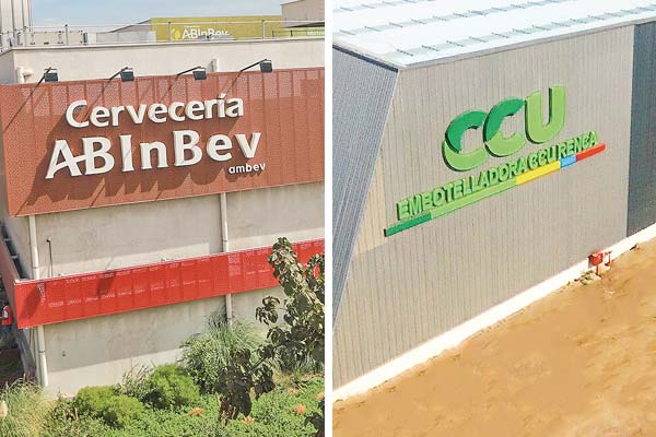 Se reactiva juicio cervecero: gerente general de AB InBev en Chile contesta interrogatorio de CCU en el TDLC