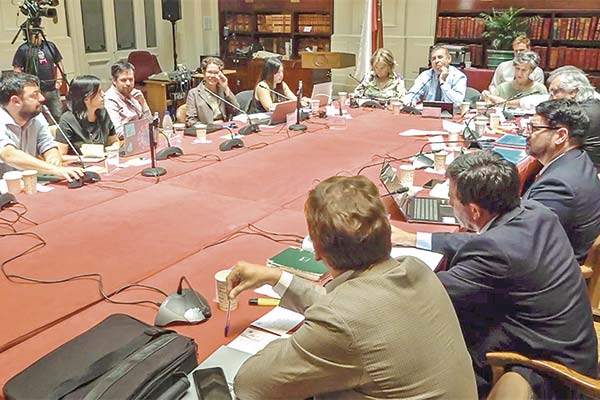 La comisión de Medio Ambiente del Senado escuchó a los integrantes del Comité de Expertos.