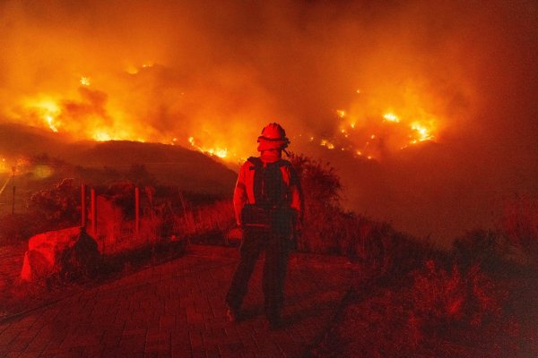 Startups desarrollan estrategias de alta tecnología para combatir incendios forestales