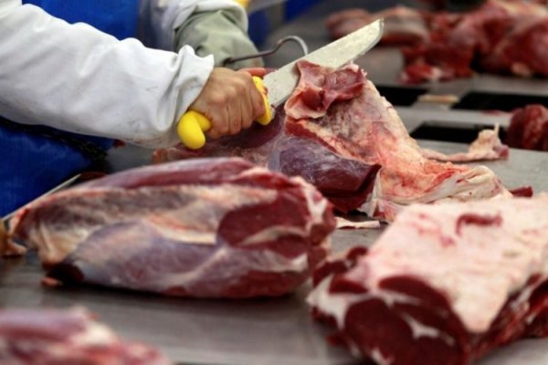 <p>Atención Brasil y Argentina: China investiga exceso de importaciones de carne de vacuno ante baja de precios</p>