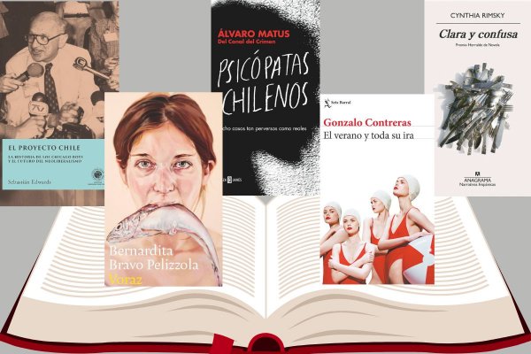 Cinco lecturas chilenas para darle la bienvenida al verano