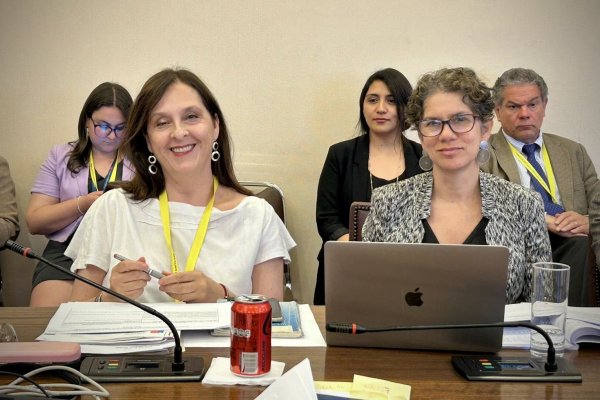 Marie Claude Plumer, superintendenta del Medio Ambiente, junto a la ministra de la cartera, Maisa Rojas.