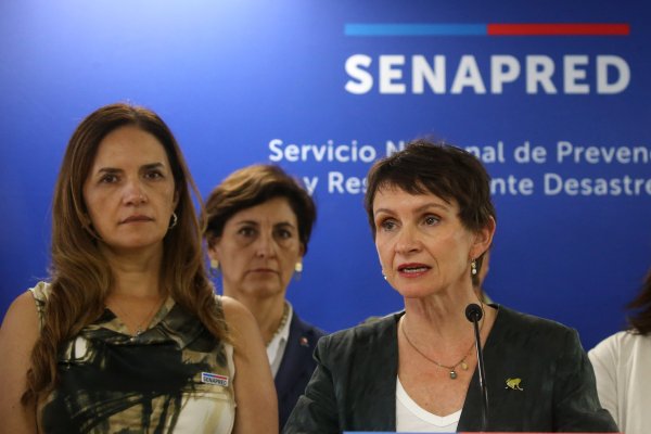 <p>Tohá por alerta roja: "Es crucial incrementar la capacidad de control para evitar que los grupos que provocan incendios intencionales tengan éxito"</p>