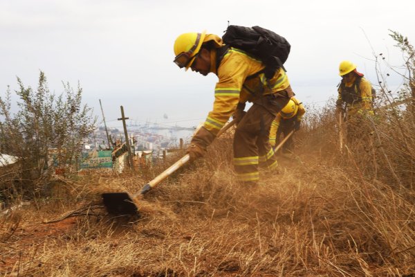 <p>Incendios forestales: Senapred informó de 22 siniestros activos a nivel país</p>