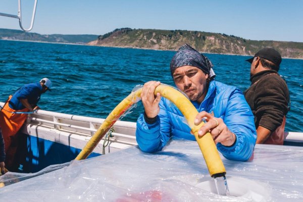 <p>Francisco Asmussen, cofundador de SeaWater 21, durante un proceso de extracción de agua de mar. </p>