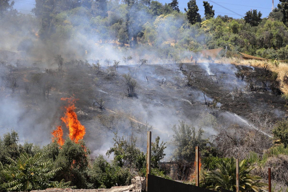 <p>Senapred declara Alerta Roja por incendio forestal que provoca corte de rutas y evacuación en sector en la comuna de Peñaflor</p>