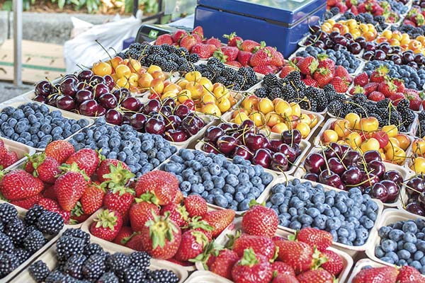 Desde querella por estafa a una reorganización para evitar la quiebra: el más que complejo momento de tradicional exportadora de berries orgánicos
