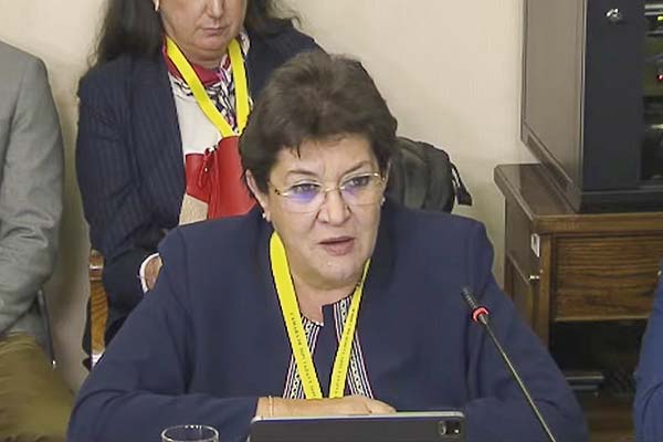 Nueva CEO de Enel debuta en el Congreso ad portas de sistema frontal y eléctricas insisten en reforma a la distribución
