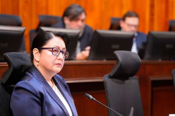 Nuevo golpe de Contraloría: Carabineros controló y dejó libres a más de 100 conductores con órdenes de detención y 626 vehículos robados no fueron recuperados