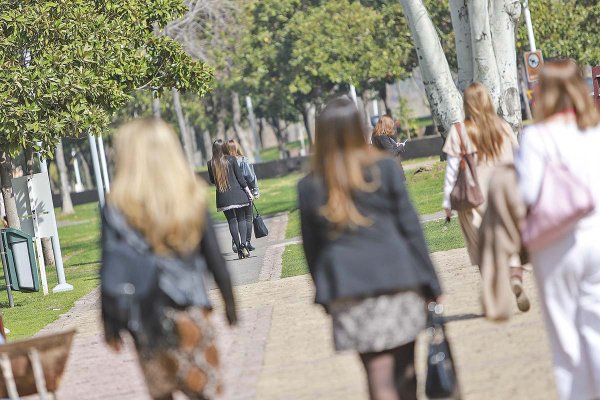 Otro golpe al empleo femenino: densidad de cotizaciones previsionales de mujeres cae bajo el 50%
