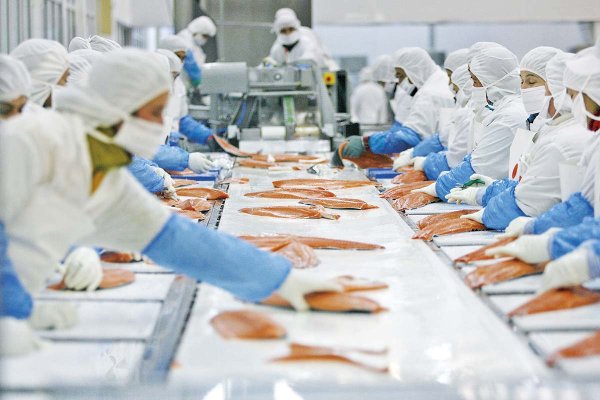 El salmón abre el apetito de dos gigantes globales de alimentos que buscan expandir su negocio en Chile