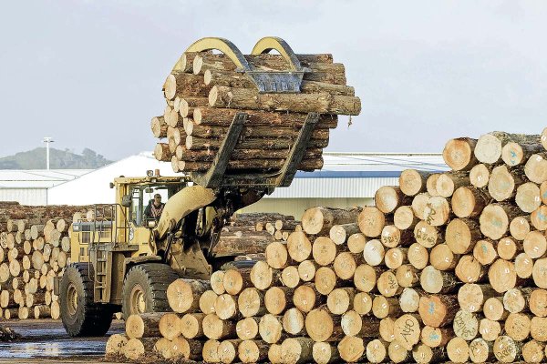 El 20% de los aserraderos de Chile cerró en los últimos cinco años y pequeñas forestales ponen en duda su viabilidad