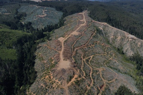 Aclara Resources planea invertir US$ 1.300 millones en tierras raras en Chile, Brasil y EEUU