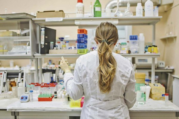 Presupuesto 2026: Gobierno propone un aumento de apenas un 0,01% para el Ministerio de Ciencia