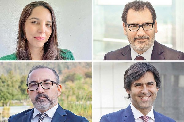 Natalia Alfieri, jefa de la Unidad de Medio Ambiente del CDE. Andrés Jana, socio fundador de Jana & Gil Dispute Resolution. Ricardo Vásquez, socio de Vásquez Urra Abogados y árbitro del Ciadi. Rodrigo Gil, socio fundador de Jana & Gil Dispute Resolution.