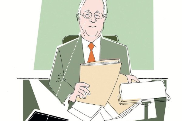 Las normas y el partidor que definió Paulmann