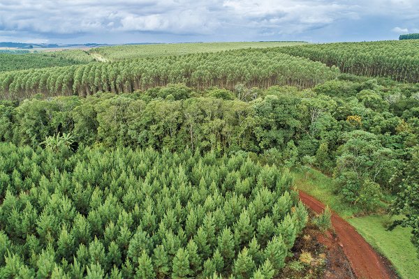 news-df-20260206192147