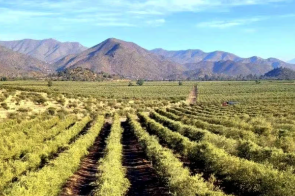 news-df-20260211132226