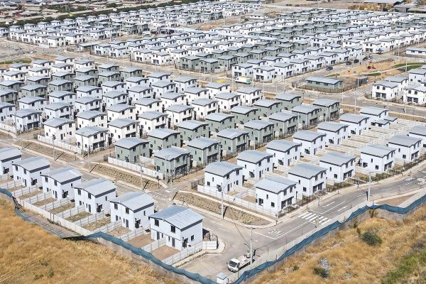 news-df-20260211133021