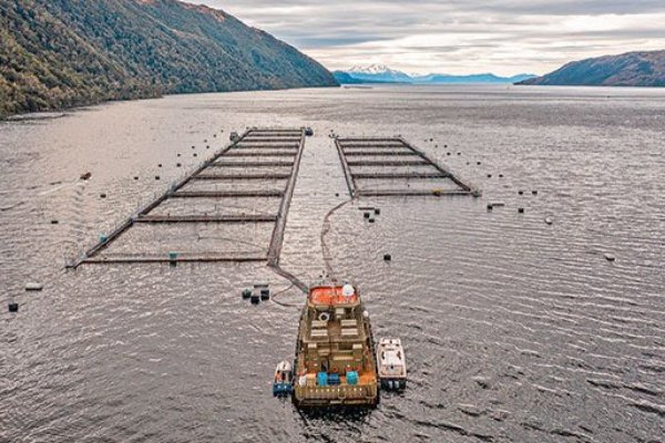 news-df-20260212150731