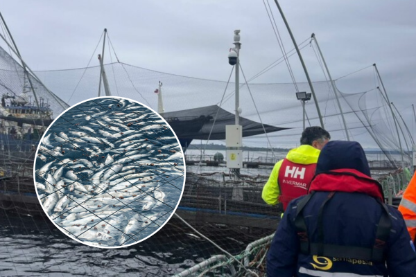 news-df-20260216155438