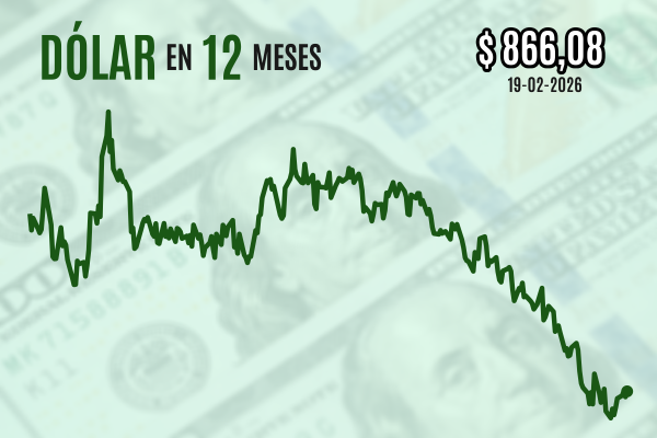 news-df-20260219080237