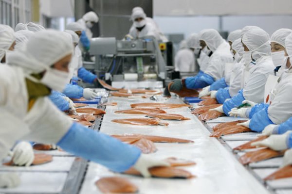 news-df-20260220164614